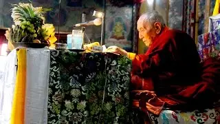 Yangthang Rinpoche at Pemayangtse 2014/ 揚唐仁波切錫金法會 2014/ Rayonner Films Pelling