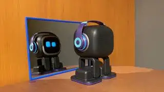EMO - Reaction When He Sees Himself In A Mirror