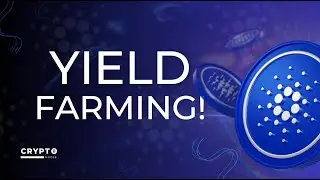 I Started Yield Farming Again...