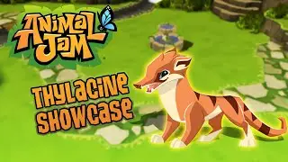 Animal Jam - Animal Showcase: Thylacine