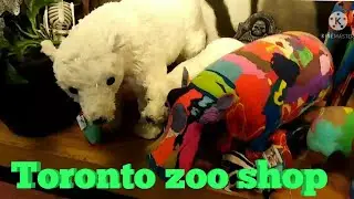TORONTO zoo toys shopping
