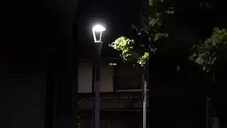 oh well (unreleased)
