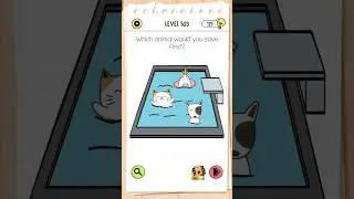 Brain test All-Star -level 503