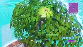 Arena Highlights! (Fortnite Battle Royale)