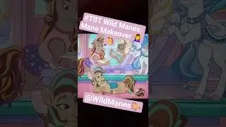 #TBT #WildManes - Mane Makeover 💆&zwj;♀️🐴 all rights to &copy; @WildManesSeries and @JAKKSPacific
