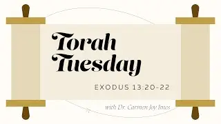 Torah Tuesday - Exodus 13:20-22