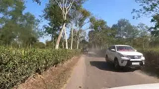 Tea Garden in Tezpur, Assam
