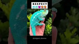 respect #short 💯