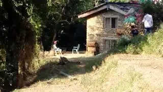 Darchula ko local video
