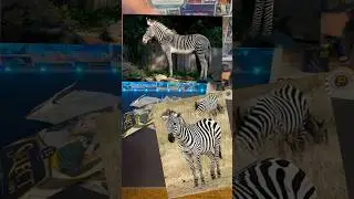 ZEBRA ALERT OUT OF SELECT FAT PACKS #nflfootballcards #sportscards #selectfootball