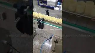 Automatic empey bottle turntable sorting feeding rotary tea pressing filling capping machine