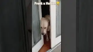 Prank a Holden 😂 #prank #divertente