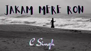 Zhakam Mere Ron | C Singh | Punjabi Song | Talwiinder ,AP Dhillon, Sidhu Moosewala type beat |Barota