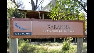 XARANNA OKAVANGO DELTA CAMP | Impressions WILDLIFE & CAMP | andBeyond | Okavango | Botswana