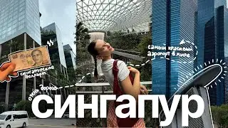 сингапур / что посмотреть за 24 часа vlog