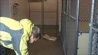 Trixie -FUN SCENT GAMES