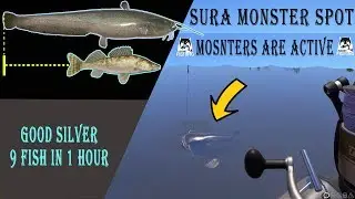 Monster Hunt on Sura | Good Silver-9 Fish Russian Fishing 4