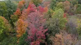 Drone Flights | Michigan in Autumn | Aerial Journey Through the Fall Colors