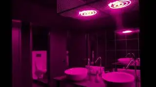 clarity, but you are in the bathroom [and manage to get back before final drop]