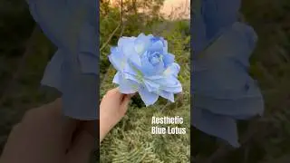 Aesthetic Blue Lotus from tissue paper I Flower making with I Paper Rose #shorts #crafts