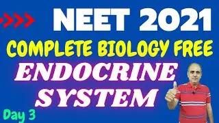 🔴 Endocrine System 🔥  Free Crash Course For  NEET | Day 3