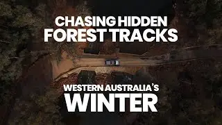 Chasing Hidden Forest Tracks | Cinematic Winter 4WD Escape