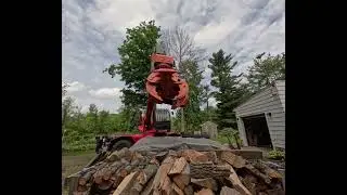 Start of ash tree removal and up close maple removal