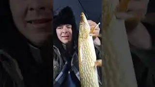 big pike on 4 lb line and small jig #fishing #pikefishing #jigfishing #pike #viral #fishing #fyp