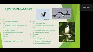 50 Years of Birding in Louisiana by David Muth