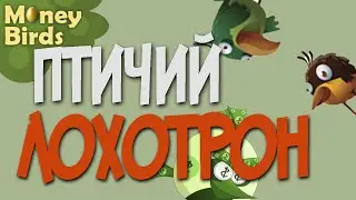Money birds отзывы