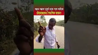 সন্তানসম্ভবা মায়ের পথ আটকে চাঁদাবাজদের তাণ্ডব, ভিডিও ভাইরাল | Naogaon Extortion #shorts #trending