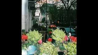 Hause Plants - Watering A Flower