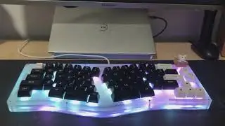 Creamy & Budget Alice Sound Test  (FancyAlice66 w/ KTT Whites)