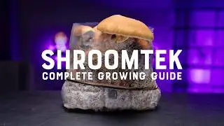 ShroomTek Complete How-To | From Inoculation to First Flush!