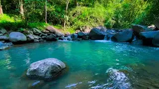 🌙 Sit by the River Tonight | Immersive ASMR River Sounds for Deep Sleep