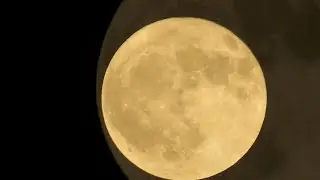 Full Buck Moon July 10, 2025