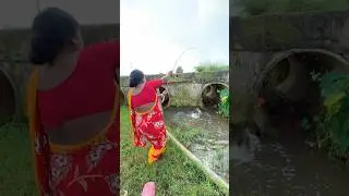 Village lady catching fish in the big canal using right fish food #shortvideo #video #hookfishing