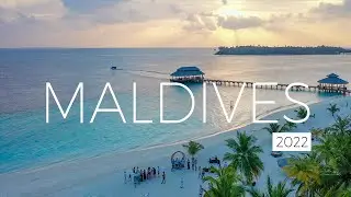Мальдивы 2022 | Maldives mood video