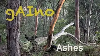 04. Ashes (Music Video) / gAIno / Furthermore / Hard Rock Ballad / Umina Beach and Bushland Photos