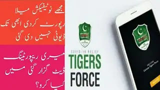 Tiger force new update,tiger force update news,tiger force card,tiger force contact,tiger force duty