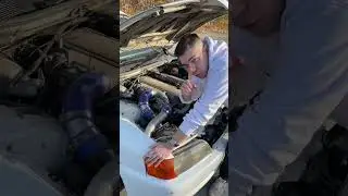 Откуда берется Sutututu sound #shorts