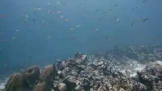 DRIFTING ALONG 