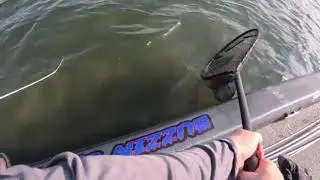 Lake Phelps 7-13-24  Took second won big fish