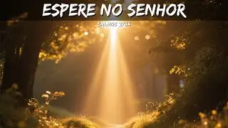 Espere no Senhor– Salmos 27:14 – DEVOCIONAL DIÁRIO