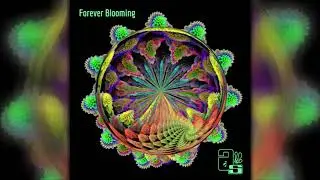 Advanced Suite - Forever Blooming | Full Album