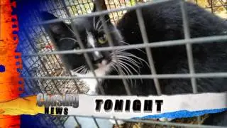 Tonight On Chasing News 12/15