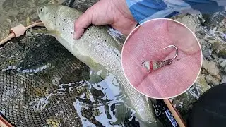 A catching nymph you need to tie - fly fishing in Slovenia