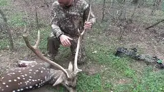 Adrenaline Bowhunts