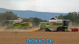 │2020.07.24.│Claas Mega 360 & Dominator 208│Árpa aratás│Barley harvest│