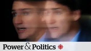 2 more Liberal MPs call for secret ballot on Trudeau's leadership | Power & Politics